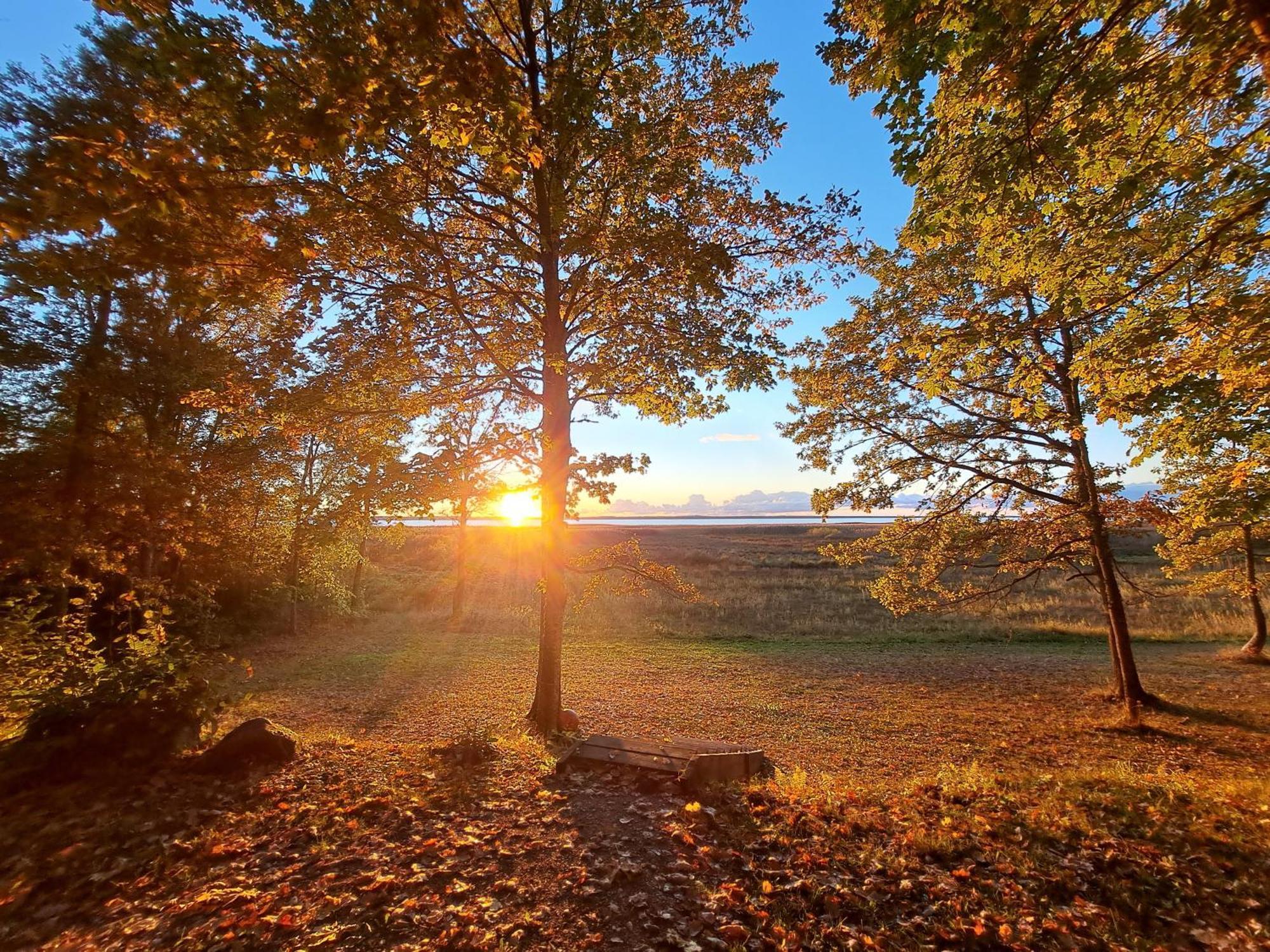 Отель Kempings Ezerpriedes Burtnieki  Экстерьер фото